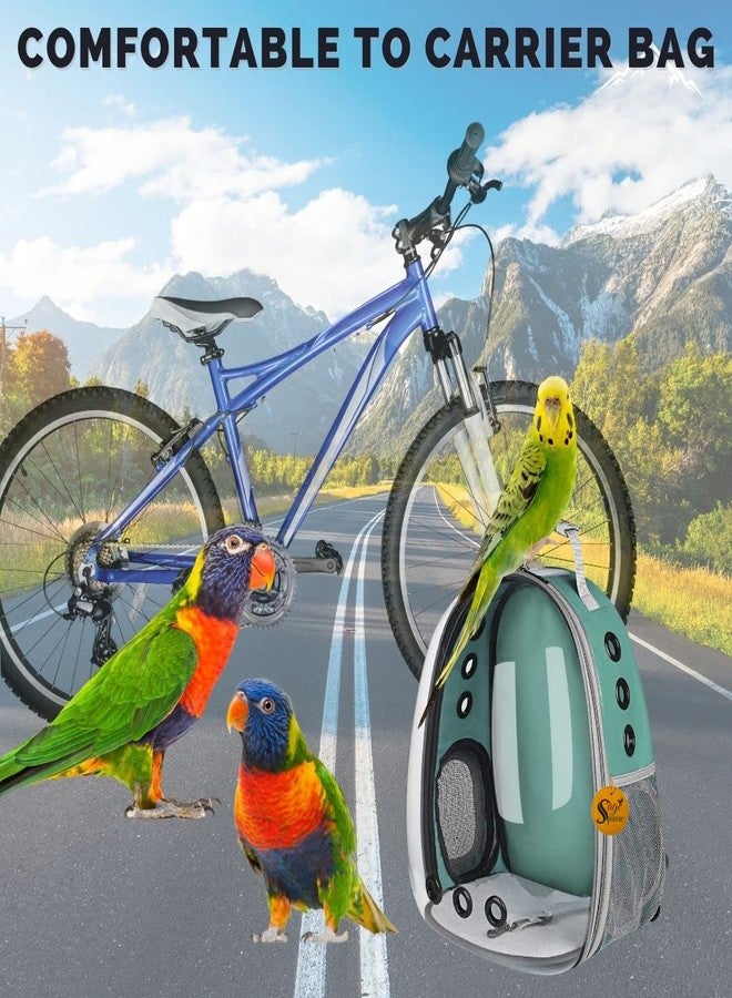 سايج سكوير حقيبة ظهر لحمل الطيور من سيج سكوير، حقيبة ظهر صغيرة لحمل الطيور الصغيرة والمتوسطة، حقيبة ظهر شفافة جيدة التهوية لحمل الحيوانات الأليفة والطيور أثناء المشي لمسافات طويلة (عشوائي) - Image 5